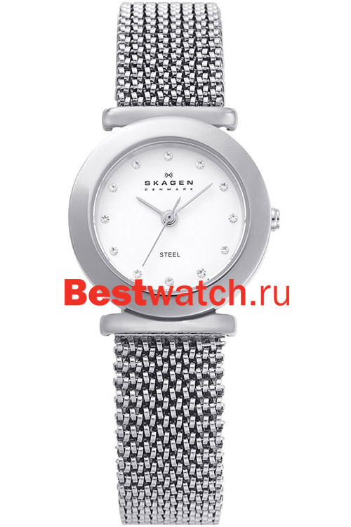 Часы Skagen Mesh Classic 107SSSS1