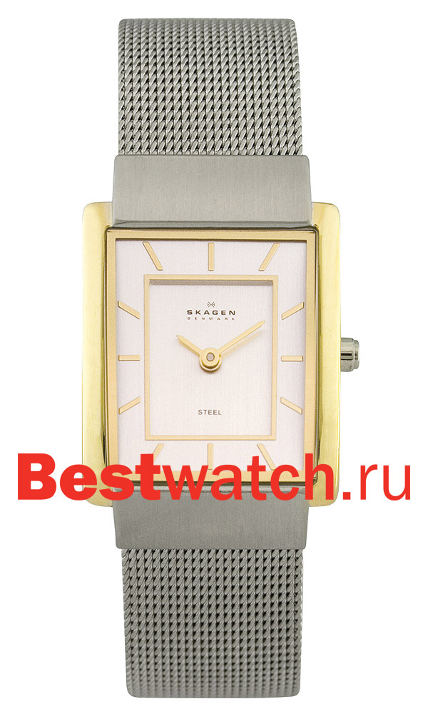 Часы Skagen Mesh Rectangular 224SGS