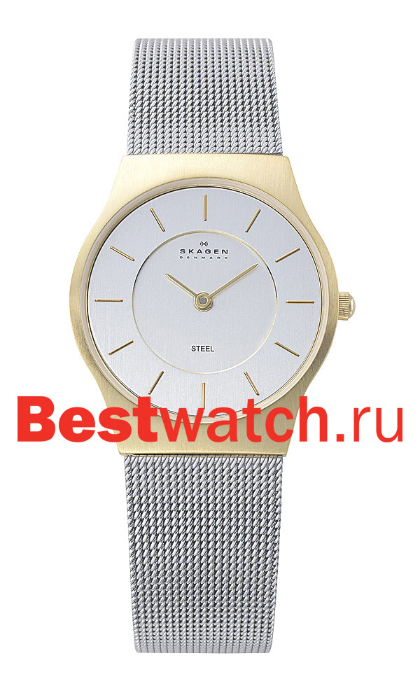 Часы Skagen Mesh 233SGS