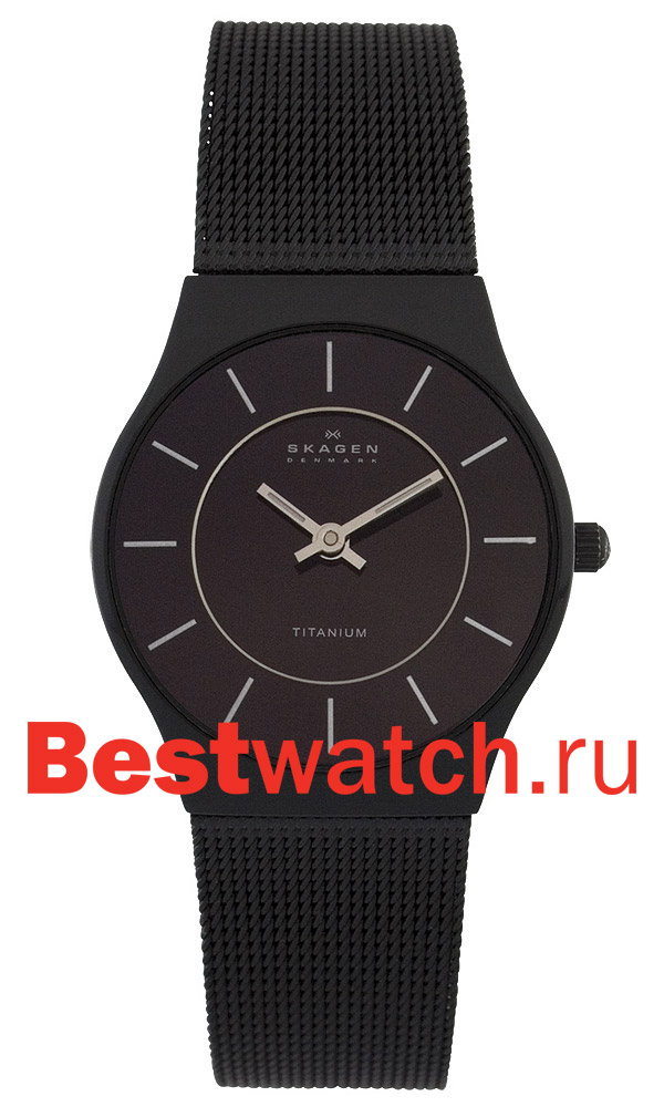 Часы Skagen Mesh 233STMB