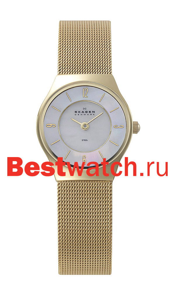 Часы Skagen Mesh 233XSGG