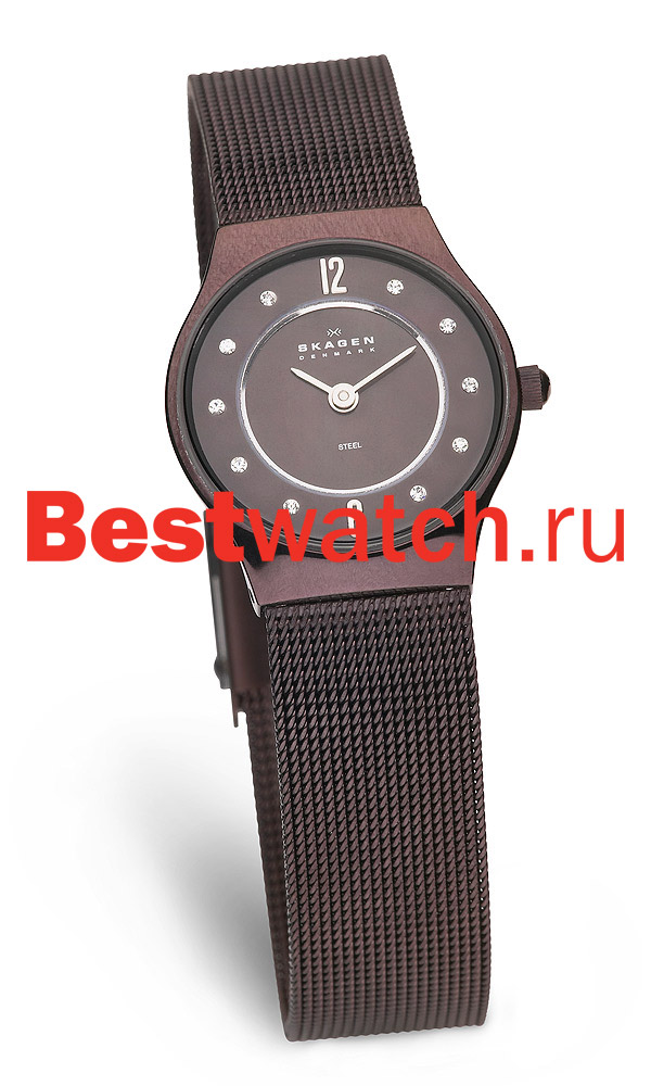 Часы Skagen Mesh Classic 233XSMM