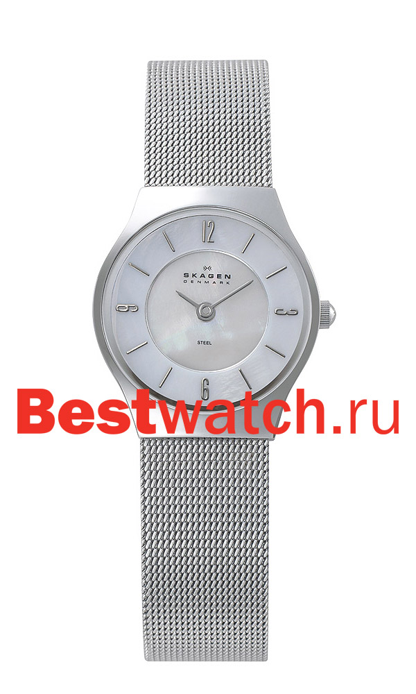 Часы Skagen Mesh 233XSSS