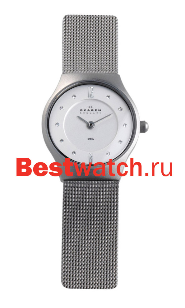 Часы Skagen Mesh Classic 233XSSS1