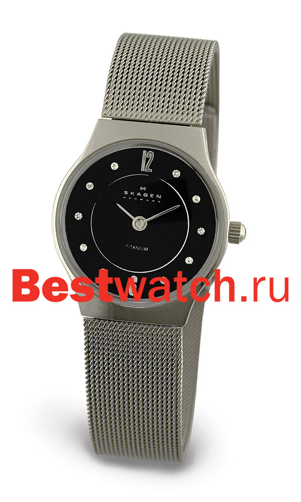 Часы Skagen Mesh 233XSTTM