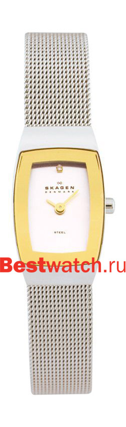 Часы Skagen Mesh Rectangular 271SGSC