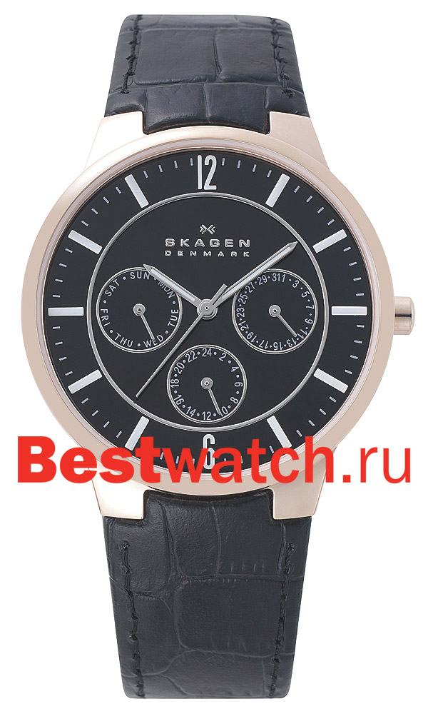 Часы Skagen Leather 331XLRLB