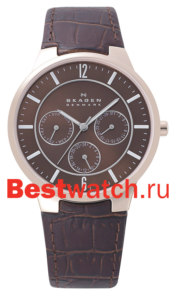 Часы Skagen Leather 331XLRLD
