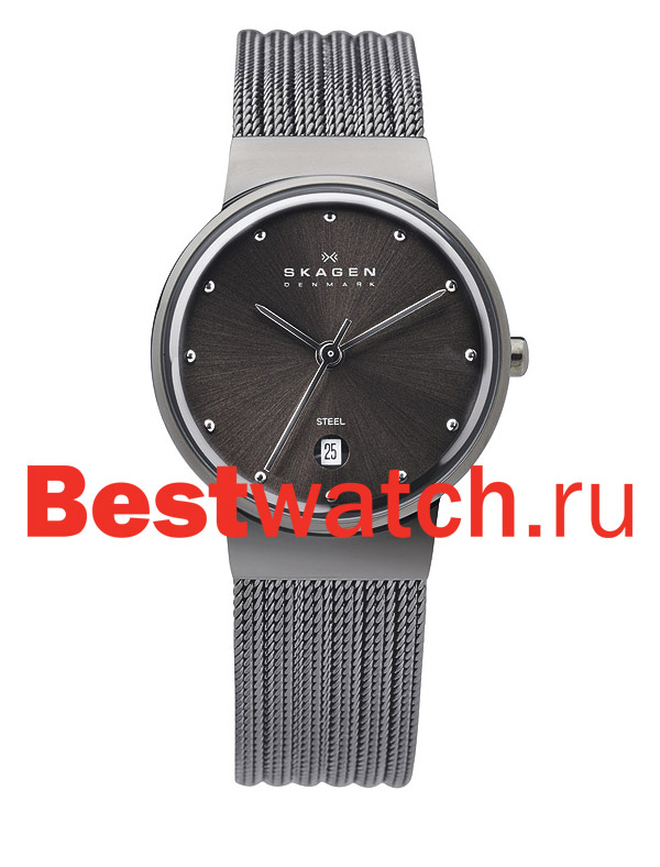 Часы Skagen Mesh 355SMM1
