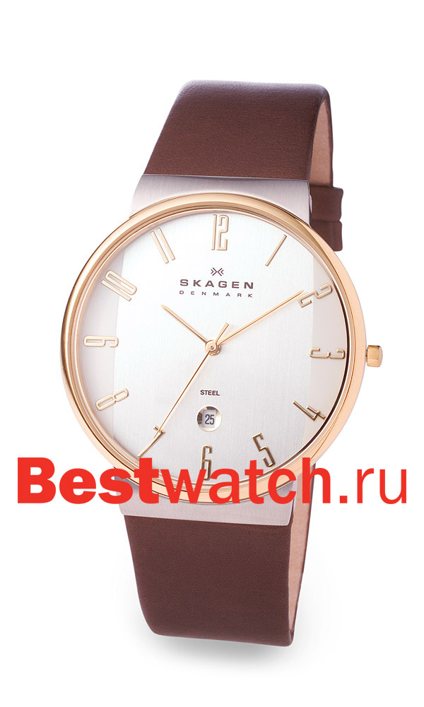 Часы Skagen Leather Classic 355XLGLD
