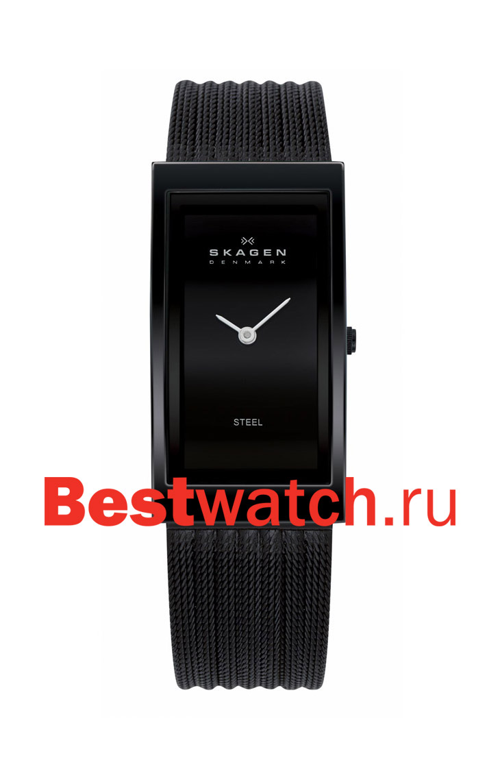 Часы Skagen Mesh 359UBB