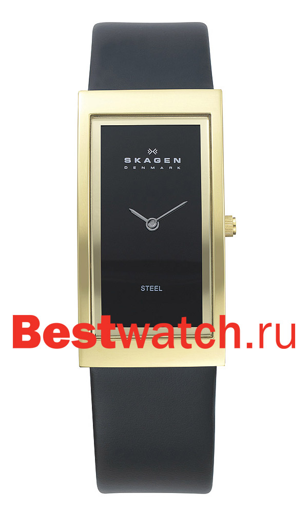 Часы Skagen Leather 359UGLB