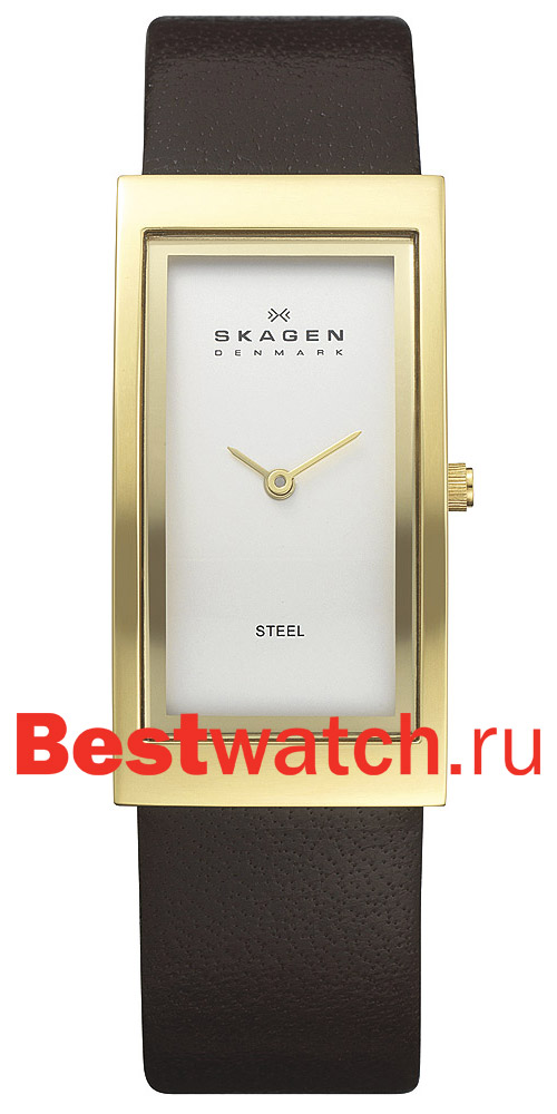 Часы Skagen Leather Rectangular 359UGLD