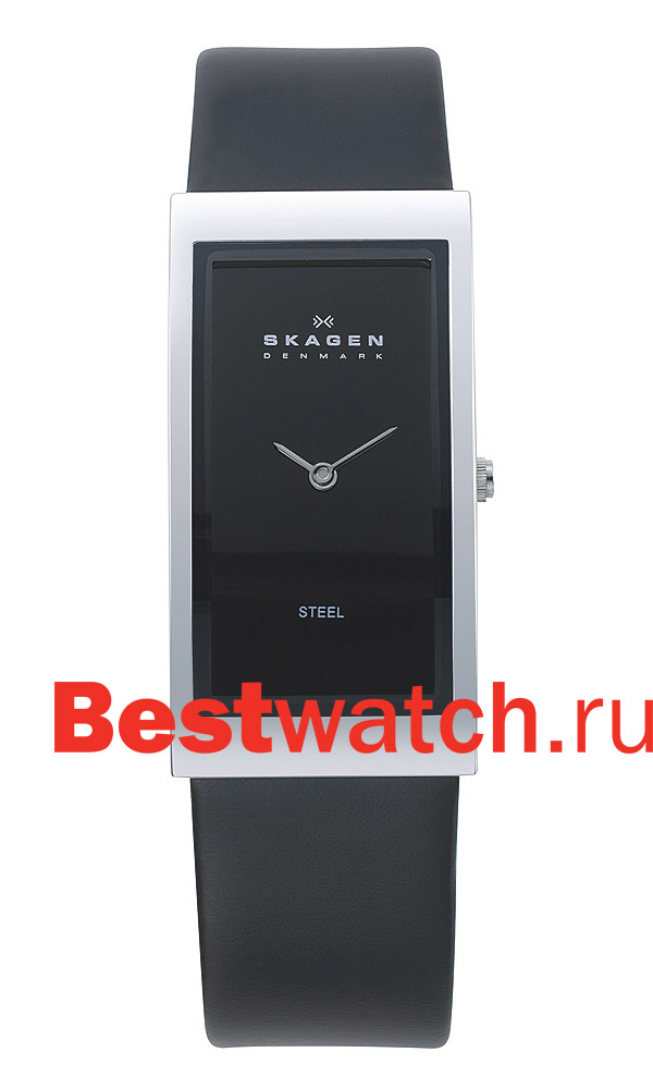 Часы Skagen Leather 359USLB