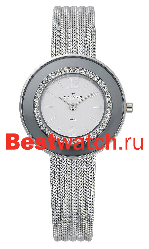 Часы Skagen Mesh Classic 363SSS