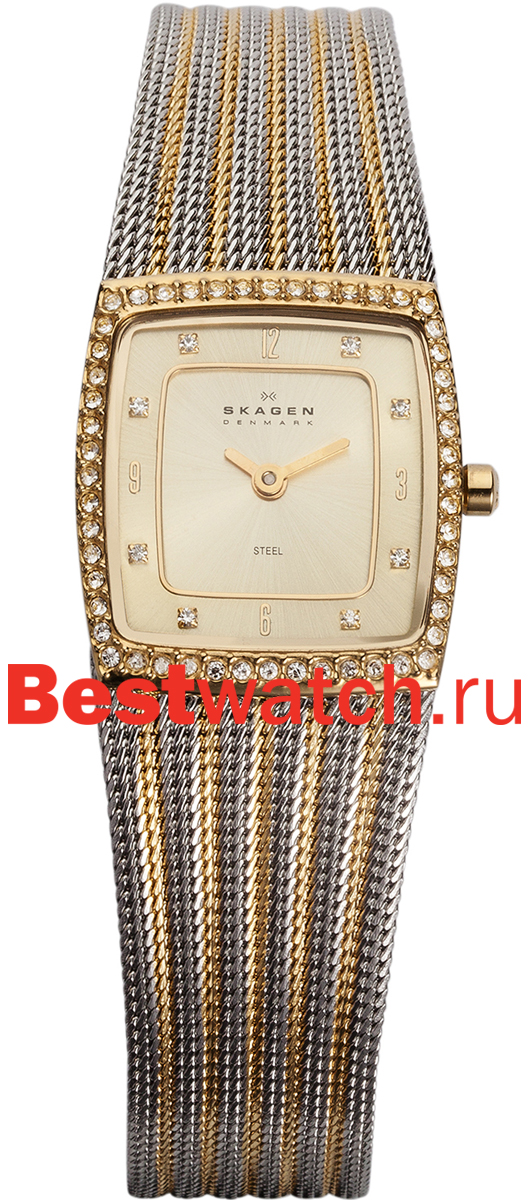 Часы Skagen Mesh 384XSGSG