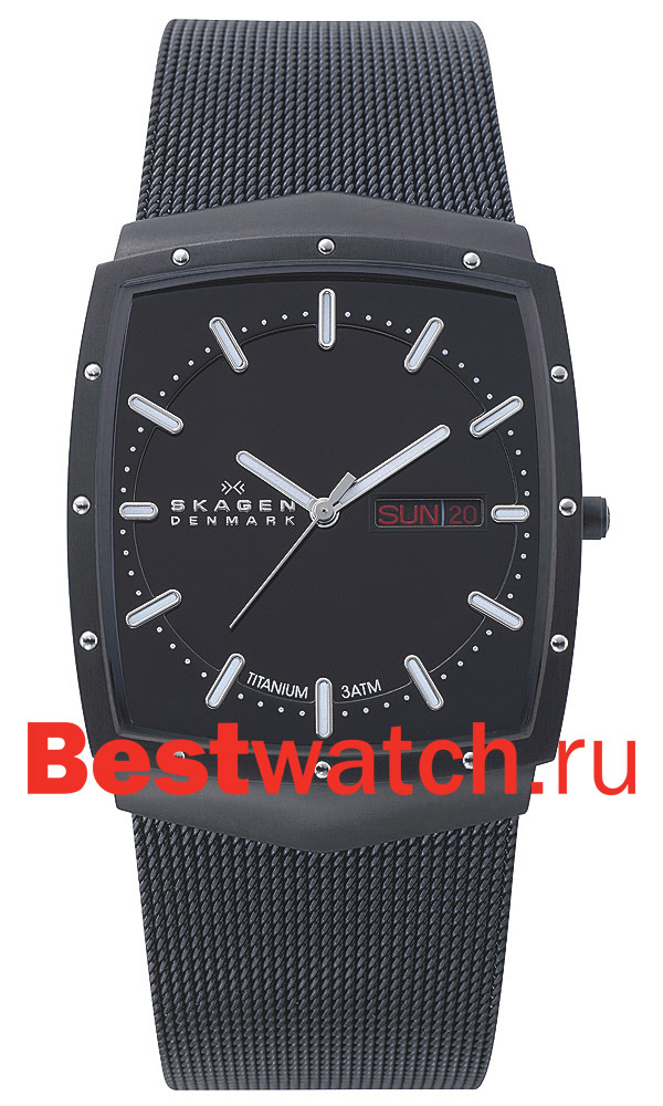 Часы Skagen Mesh 396LTMB