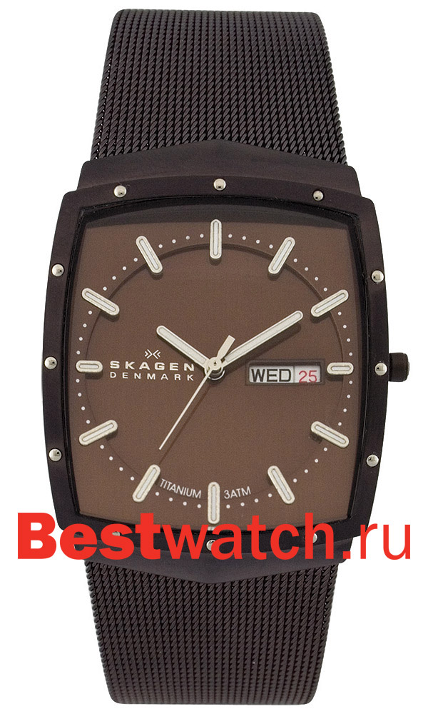 Часы Skagen TITANIUM 396LTMD