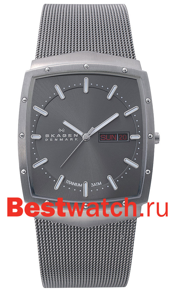 Часы Skagen Mesh 396LTTM