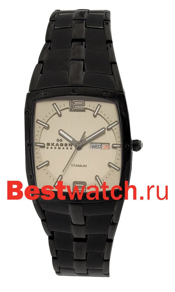Часы Skagen Links Titanium 396STMX