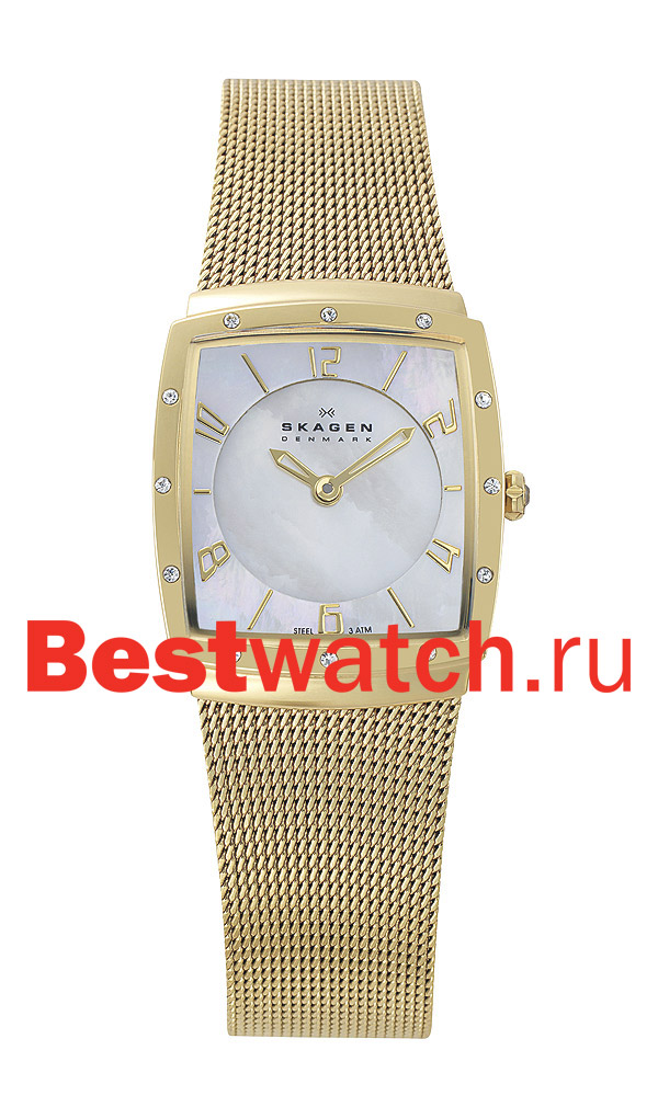 Часы Skagen Mesh Rectangular 396XSGG