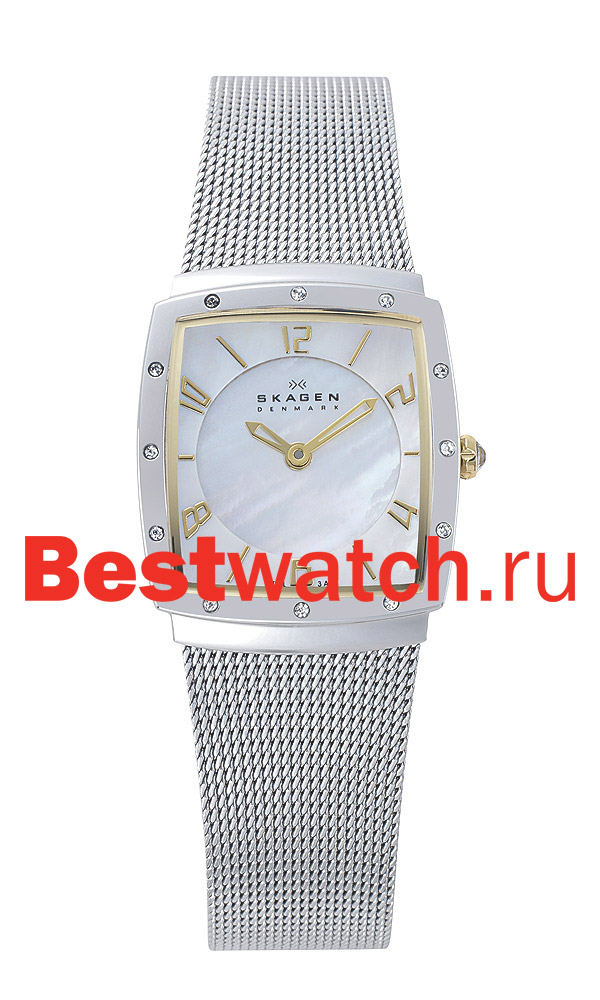 Часы Skagen Mesh Rectangular 396XSGS