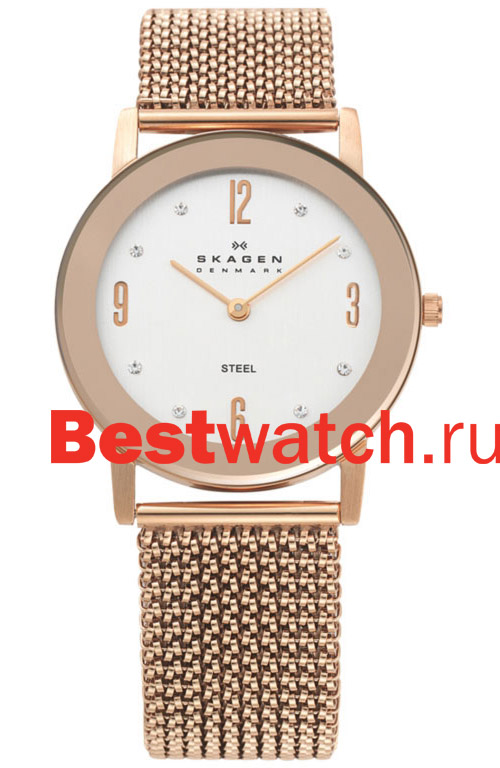 Часы Skagen Mesh Classic 39LRR1