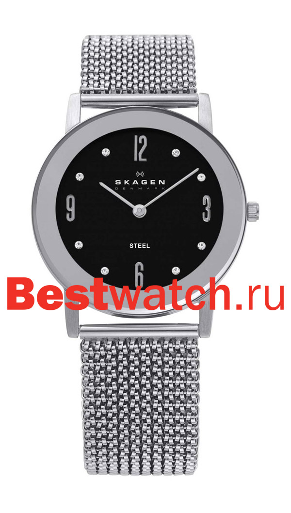 Часы Skagen Mesh Classic 39LSSB1
