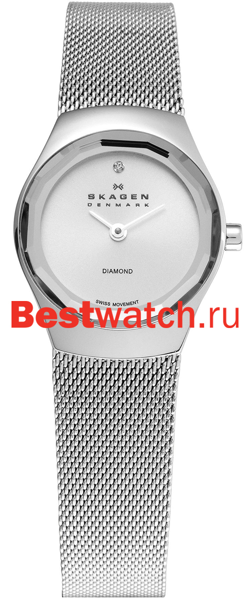 Часы Skagen Mesh 432SSSS