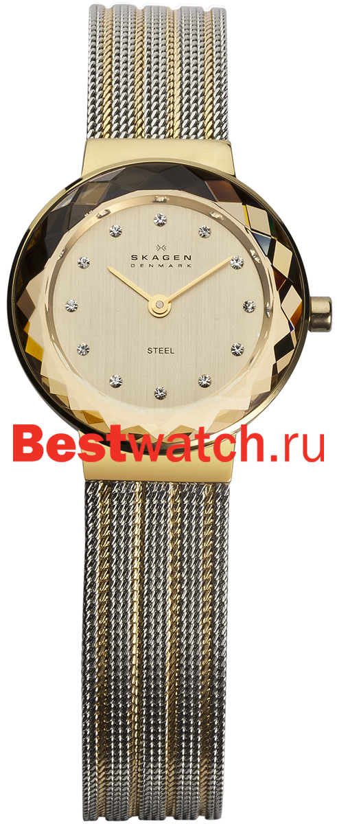 Часы Skagen Mesh 456SGS1