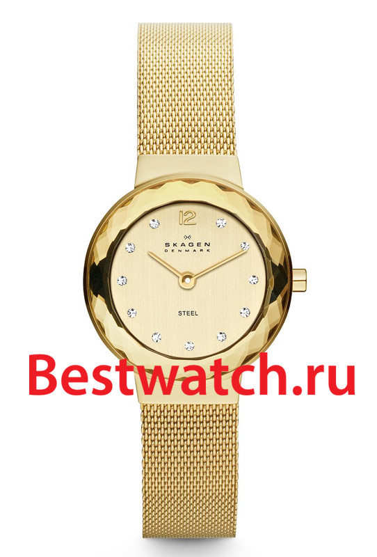 Часы Skagen Mesh 456SGSG