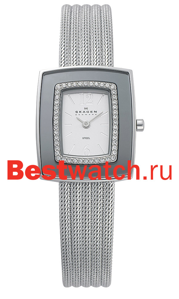 Часы Skagen Mesh 463SSS