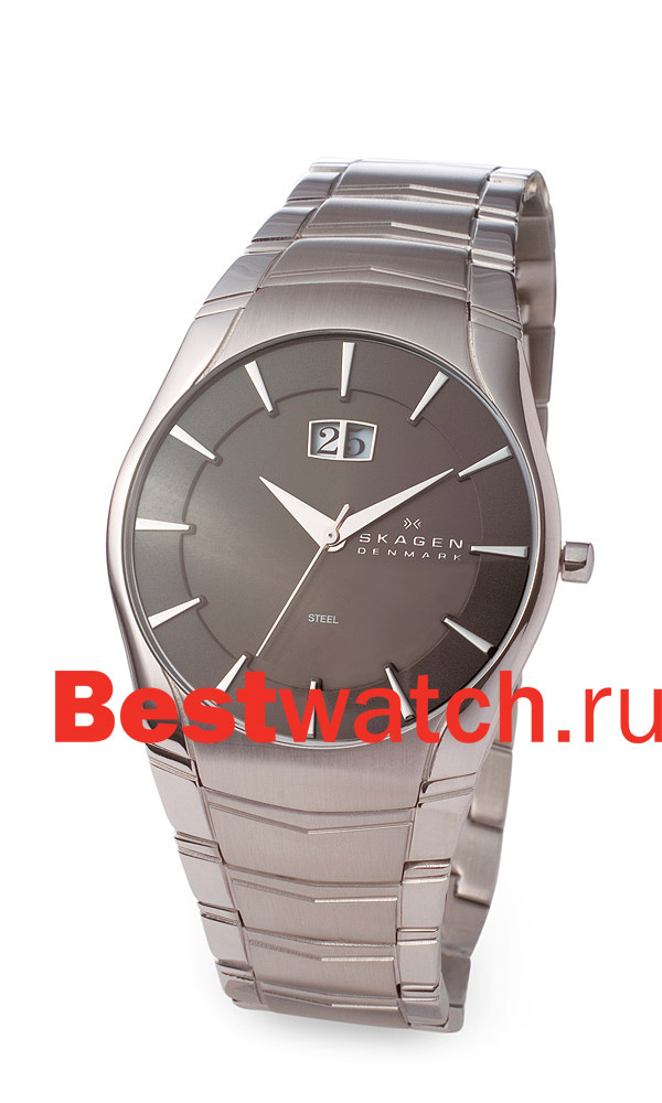Часы Skagen Links steel 531XLSXM
