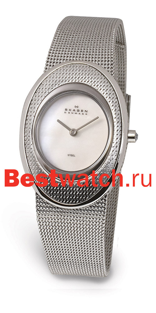 Часы Skagen Mesh Classic 548SSSD