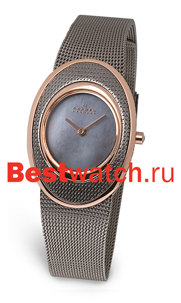 Часы Skagen Mesh Classic 548SSTRMD
