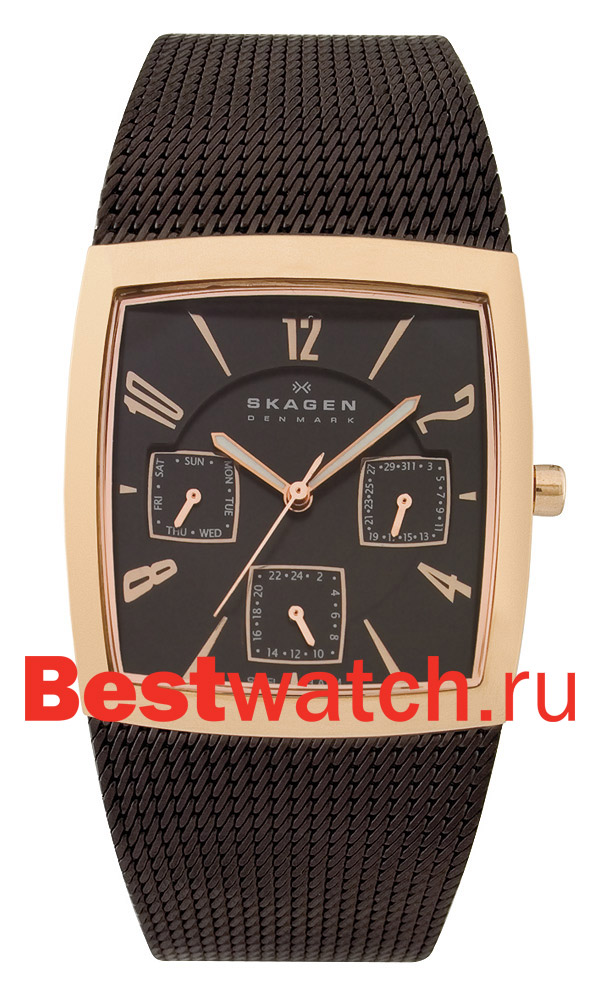Часы Skagen Mesh Rectangular 562SRM
