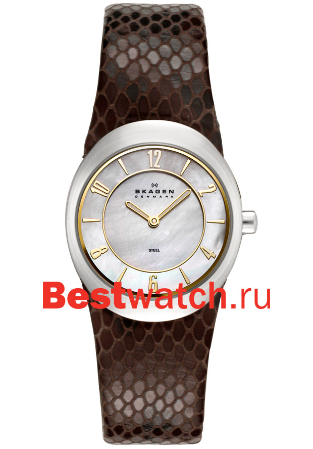 Часы Skagen Leather Classic 564XSSLD8