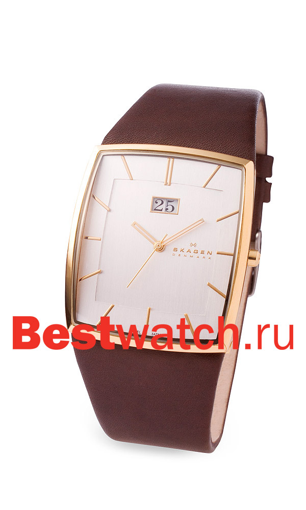 Часы Skagen Leather Rectangular 567LGLD