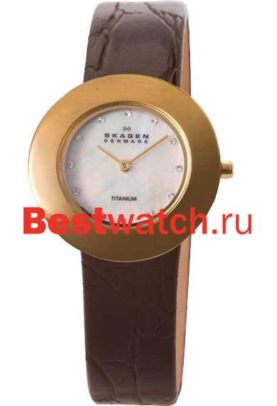 Часы Skagen Leather Titanium 569STGLD4