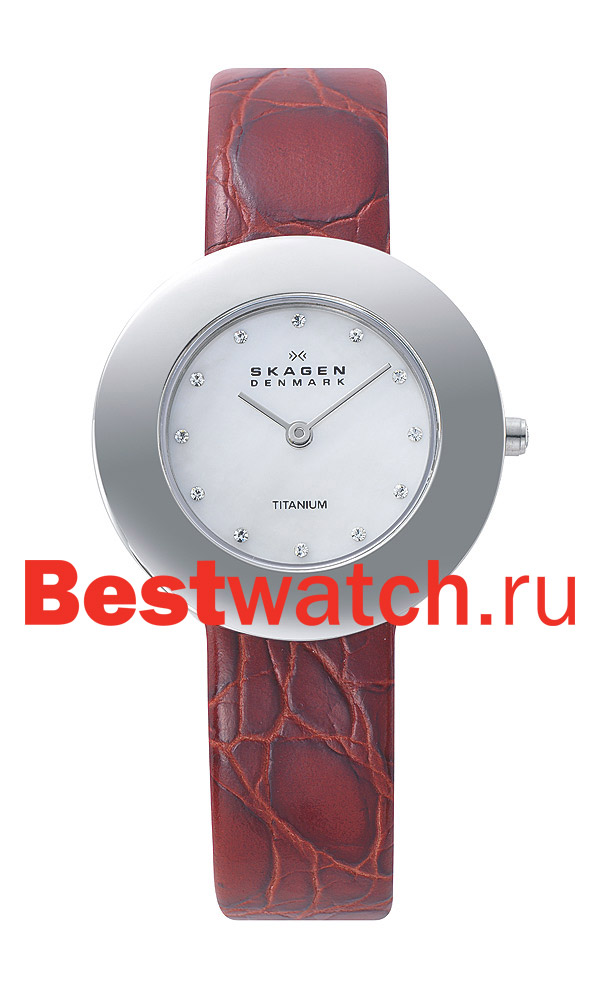 Часы Skagen Leather Titanium 569STLR