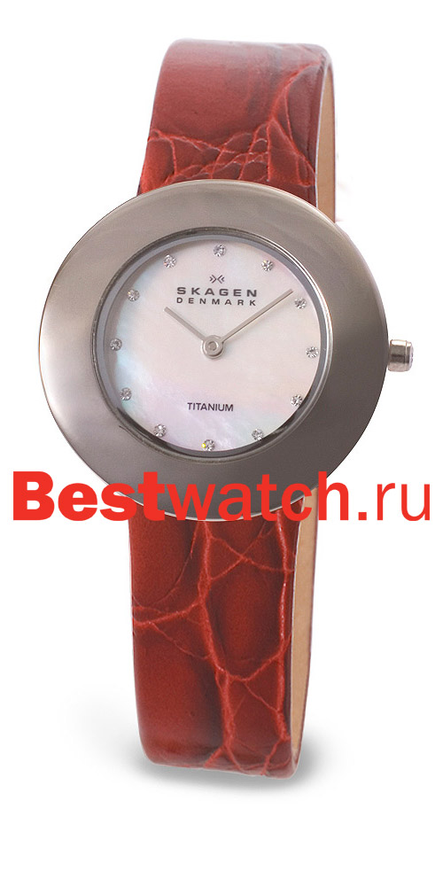 Часы Skagen Leather Titanium 569STLR4