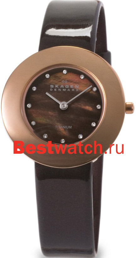 Часы Skagen TITANIUM 569STRLD