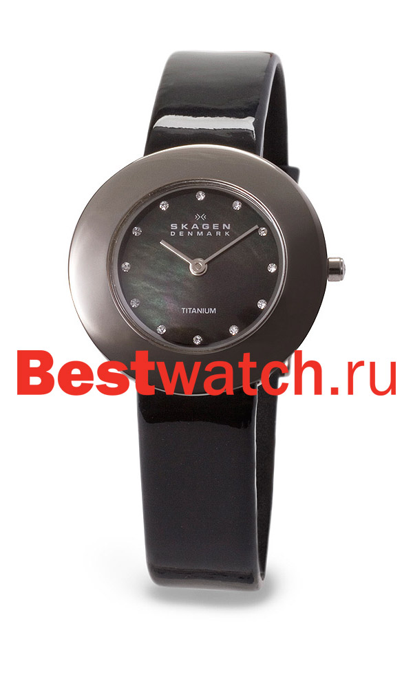 Часы Skagen TITANIUM 569STTLB