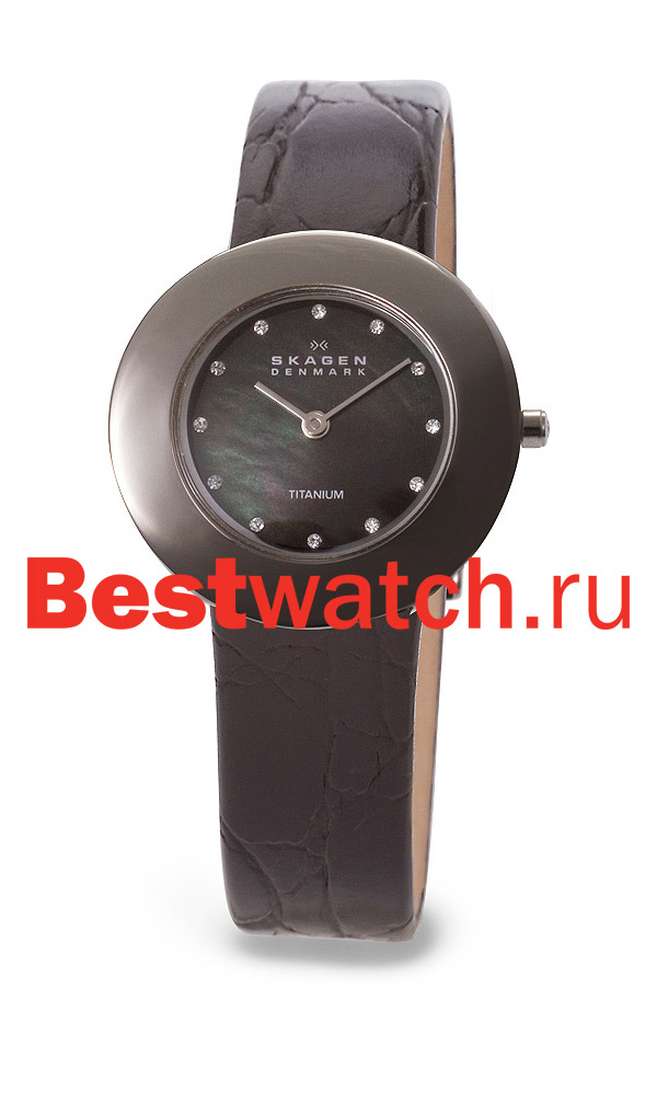 Часы Skagen Leather Titanium 569STTLB4