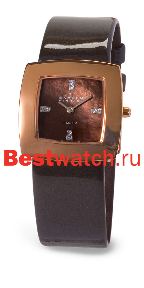 Часы Skagen TITANIUM 570STRLD