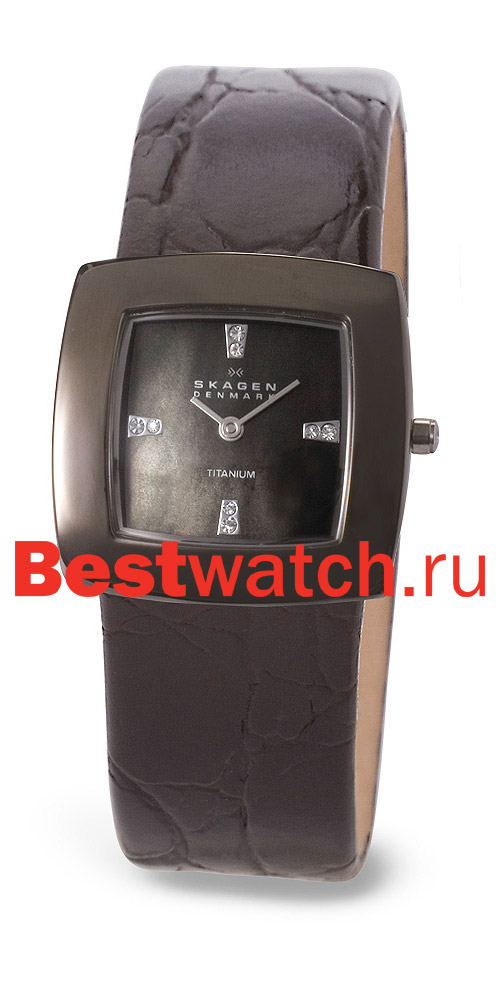 Часы Skagen Leather Titanium 570STTLB4