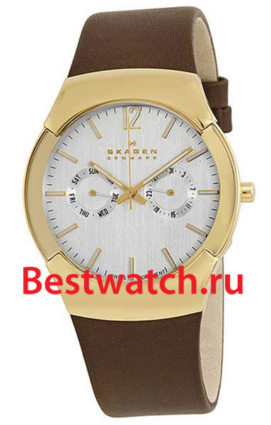 Часы Skagen Leather 583XLGLD