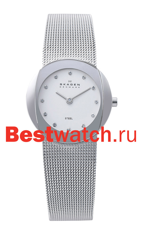 Часы Skagen Mesh 589SSS