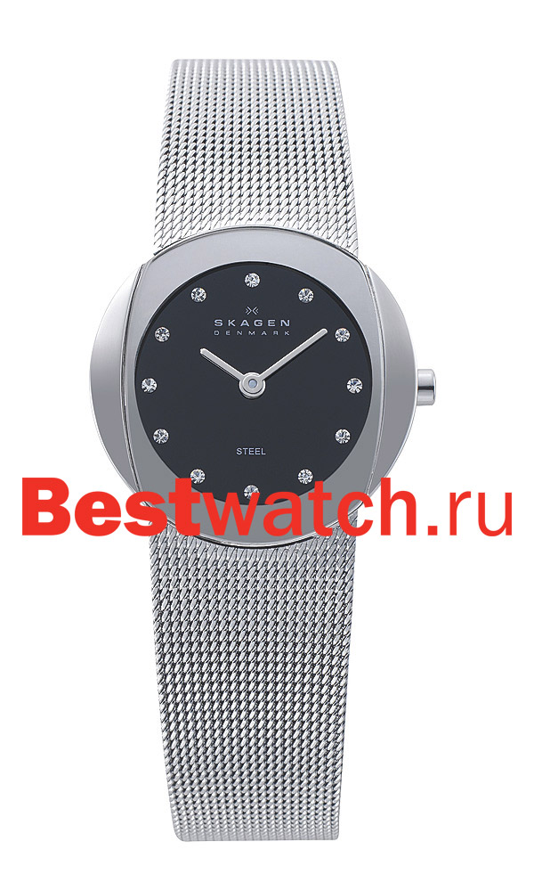 Часы Skagen Mesh Classic 589SSSB