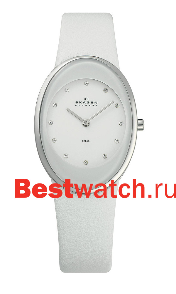 Часы Skagen Leather Classic 648SSLWW